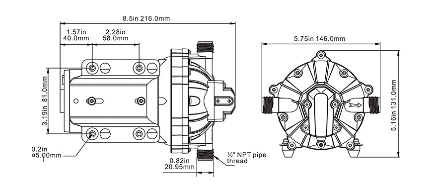 SEAFLO 18.9LPM 60 PSI 12V PUMP