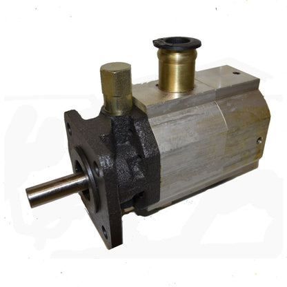 Log Splitter Pumps