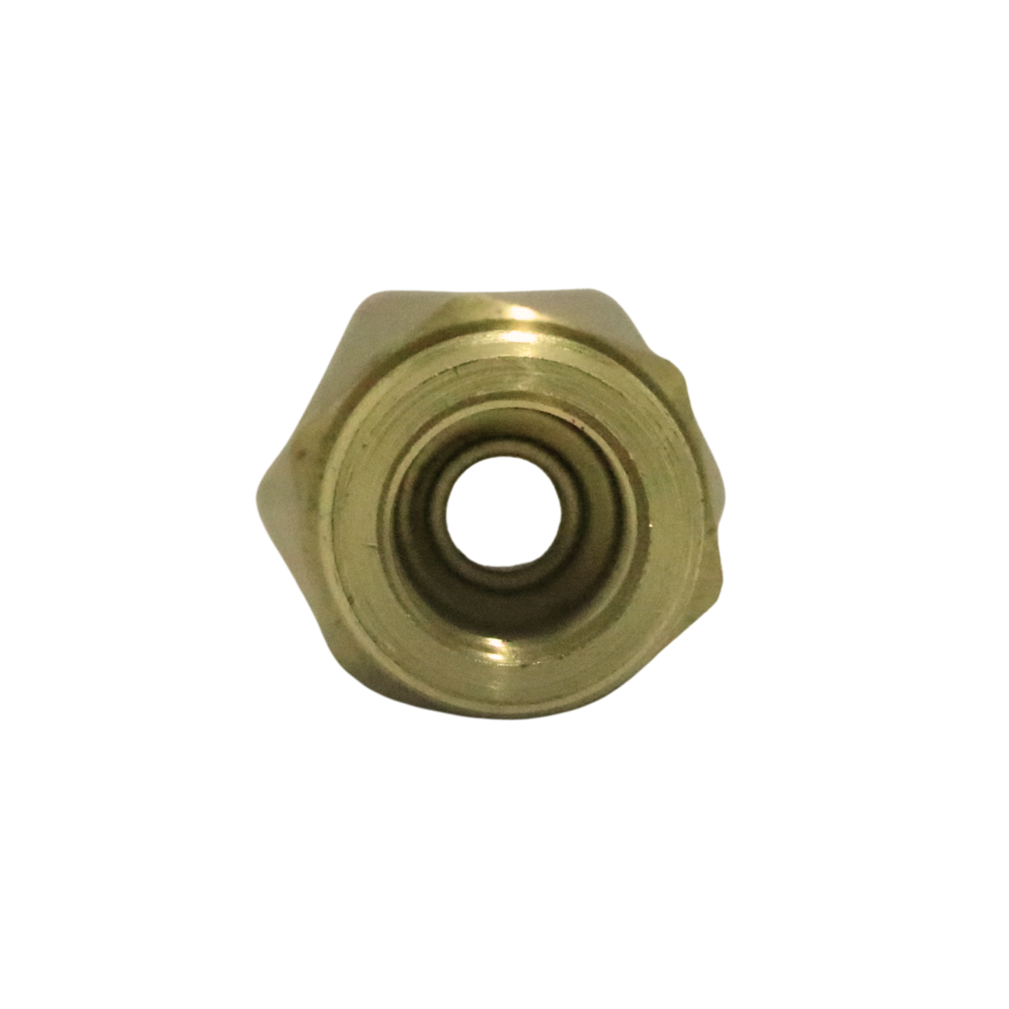 Brass 1/2" Swivel Adaptor