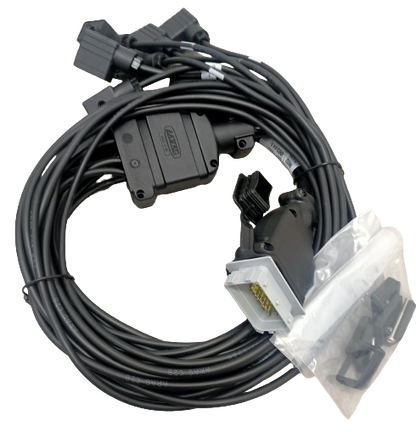 Arag End Cable 3MT 5W+G+P