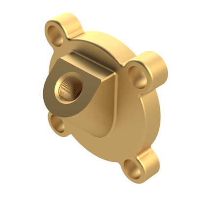 ARAG Pressure Gauge Brass Adapter For 463