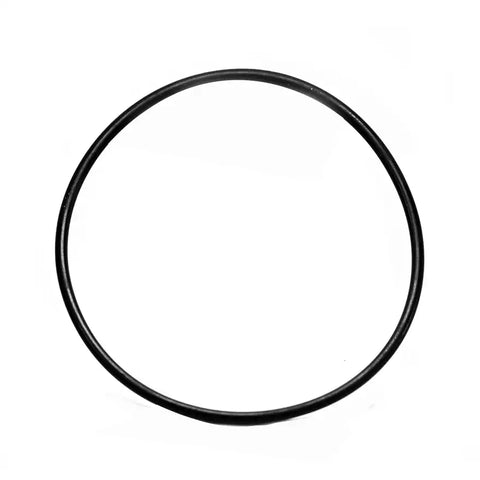 Arag Filter O Ring
