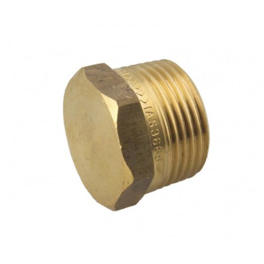 Brass Plug